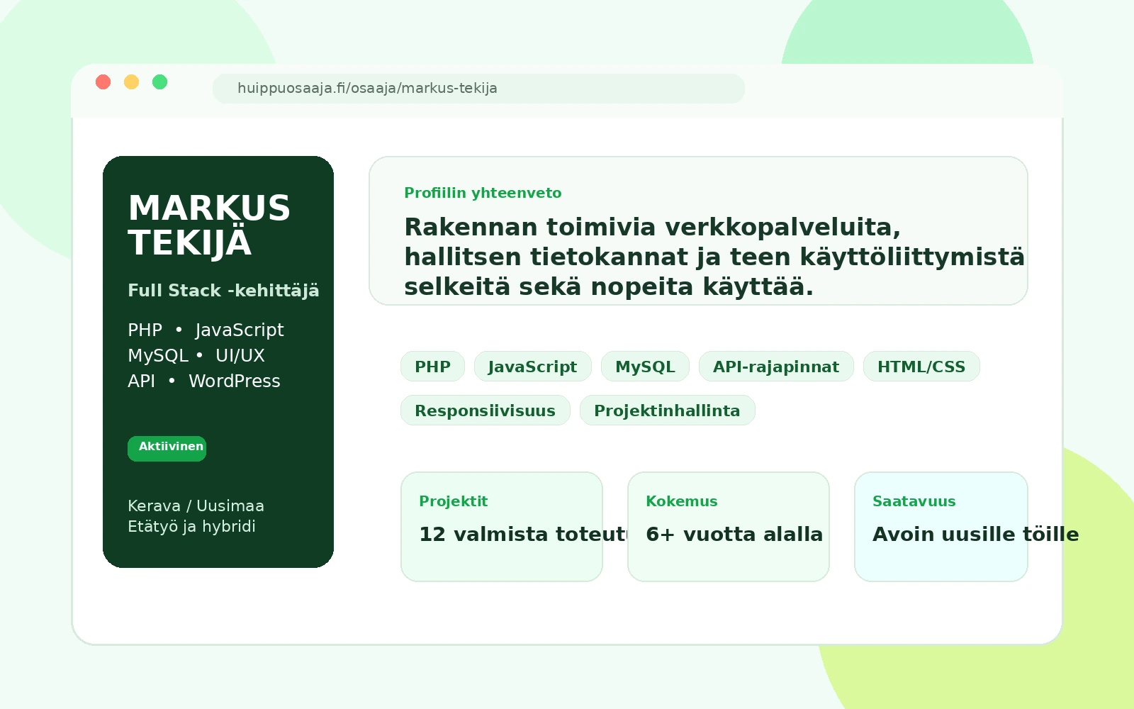 Toinen esimerkkikuva Huippuosaaja.fi-palveluun rakennetusta osaajaportfoliosta